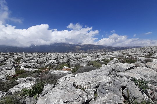 Tour image 4