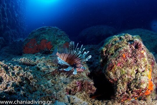 Tour image 6